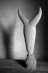  dscn5280.jpg